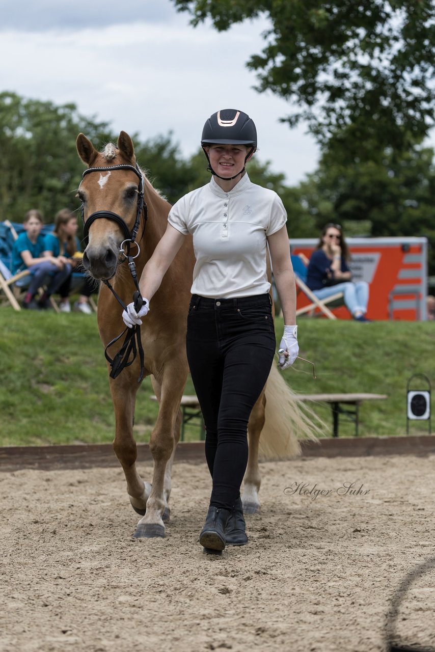 Bild 2 - Pony Akademie Turnier